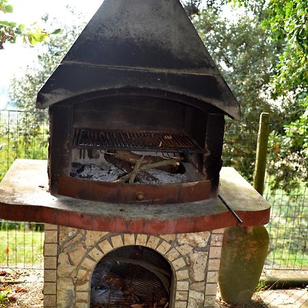 Agriturismo Podere Biancospino Piscina Privata Кианчано Терме Екстериор снимка